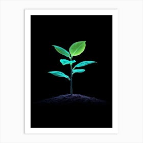 Small Green Plant On Black Background 12 Art Print