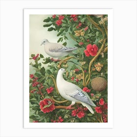 Dove Haeckel Style Vintage Illustration Bird Art Print