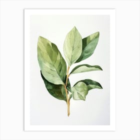 Green Leaf Watercolor Painting Art Print