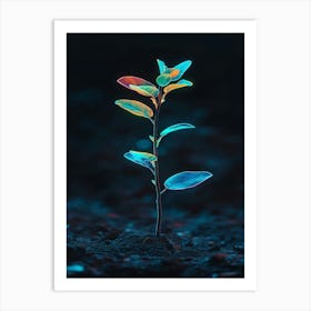 Plant In The Dark 5 Art Print