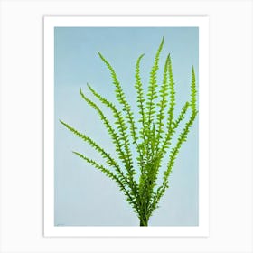 Asparagus Fern Bold Graphic Art Print