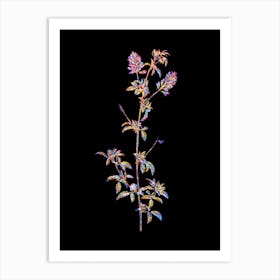 Stained Glass Spanish Clover Bloom Mosaic Botanical Illustration on Black n.0154 Art Print
