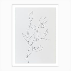 Line Drawing Of A Leaf 1 Art Print