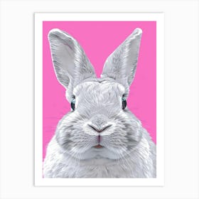 Rabbit On Pink Background 2 Art Print