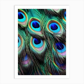 Peacock Feathers 10 Art Print