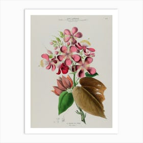 Pink Flowers 1 Art Print