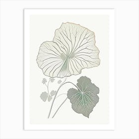 Nasturtium Herb William Morris Inspired Line Drawing 2 Art Print