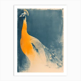 Navy Blue & Orange Vintage Photo Peacock Art Print