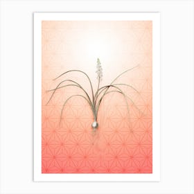 Lachenalia Angustifolia Vintage Botanical in Peach Fuzz Asanoha Star Pattern n.0126 Art Print