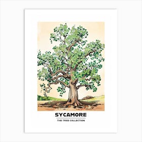 Sycamore Tree Storybook Illustration 1 Poster Art Print