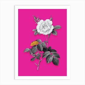 Vintage White Rose Black and White Gold Leaf Floral Art on Hot Pink Art Print