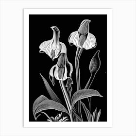 Lady's Slipper Wildflower Linocut Art Print
