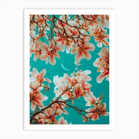 Midsummer Magnolia Art Print