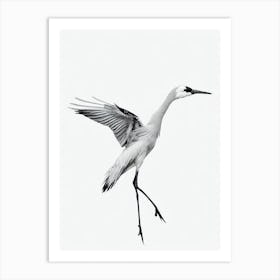 Crane B&W Pencil Drawing 1 Bird Art Print