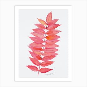 Rhus Typina Art Print