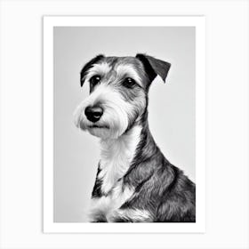 Welsh Terrier B&W Pencil Dog Art Print