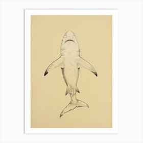 Cookiecutter Shark Vintage Illustration 7 Art Print