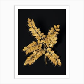 Vintage Clammy Locust Botanical in Gold on Black n.0243 Art Print