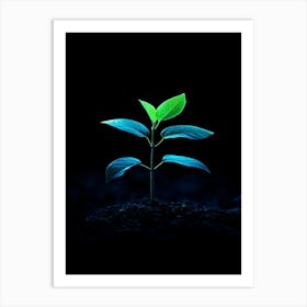 Small Green Plant On Black Background 21 Art Print