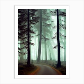 Road In The Forest 8 Art Print