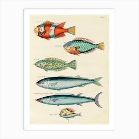 Colourful And Surreal Illustrations Of Fishes Found In Moluccas (Indonesia) And The East Indies, Louis Renard(48) Art Print