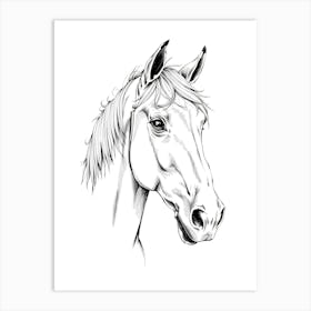 Horse Head Drawing Art Print