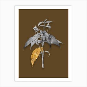 Vintage Commelina Zanonia Black and White Gold Leaf Floral Art on Coffee Brown n.0833 Art Print