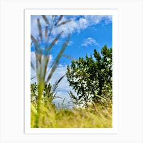 Long dock park Art Print