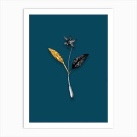 Vintage Erythronium Black and White Gold Leaf Floral Art on Teal Blue n.1049 Art Print