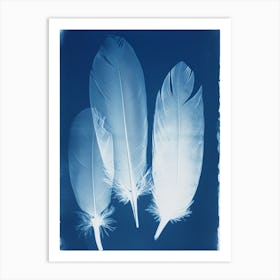 Feathers VIII Art Print