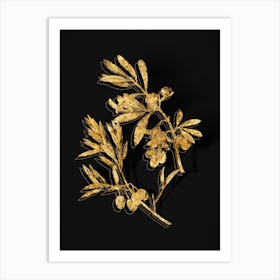 Vintage Olive Botanical in Gold on Black n.0014 Art Print