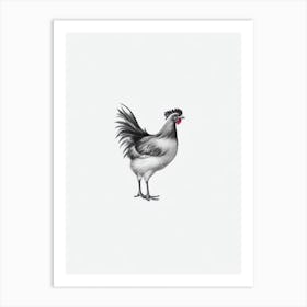 Chicken B&W Pencil Drawing 5 Bird Art Print