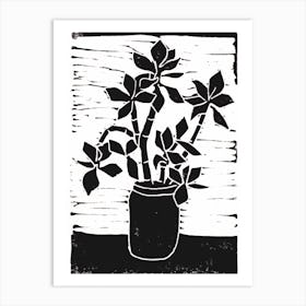 Money Plant Art Print