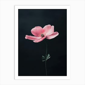 Pink Anemone Flower 1 Art Print