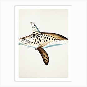 Leopard Shark 2 Vintage Art Print