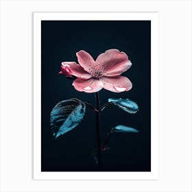 Pink Flower 11 Art Print