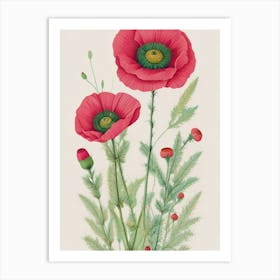 Poppies 4 Art Print