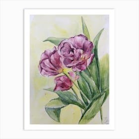 Purple Tulips Art Print