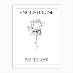 English Rose Black And White Line Drawing 26 Poster Art Print