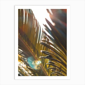 Palm Leaves In The Sun Art Print