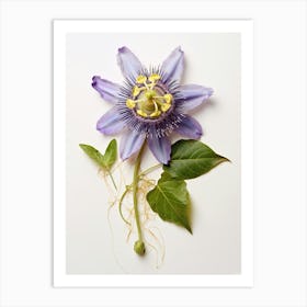 Pressed Flower Botanical Art Passionflower Art Print