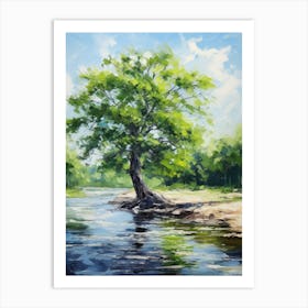 Tree By The River Art Print