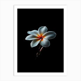 Hawaiian Flower Art Print