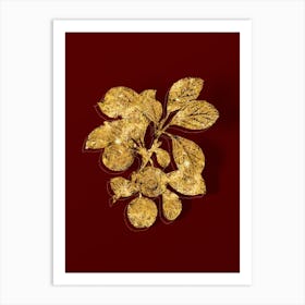 Vintage Cherry Plum Botanical in Gold on Red n.0511 Art Print