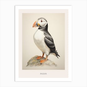 Vintage Bird Drawing Pigeon 4 Poster Art Print