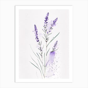 Lavender Herb Minimalist Watercolour 1 Art Print