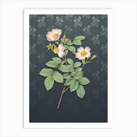 Vintage Short Styled Field Rose Botanical on Slate Gray Pattern n.0719 Art Print