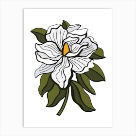 White Magnolia Contemporary Botanical Illustration Art Print