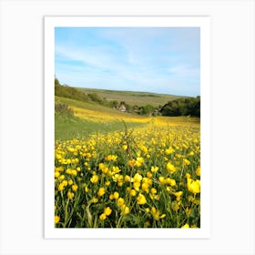 Field Of Yellow Flowers Art Print