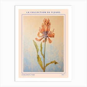 Kangaroo Paw French Flower Botanical Poster Art Print